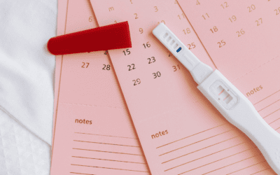 What day did I get pregnant?